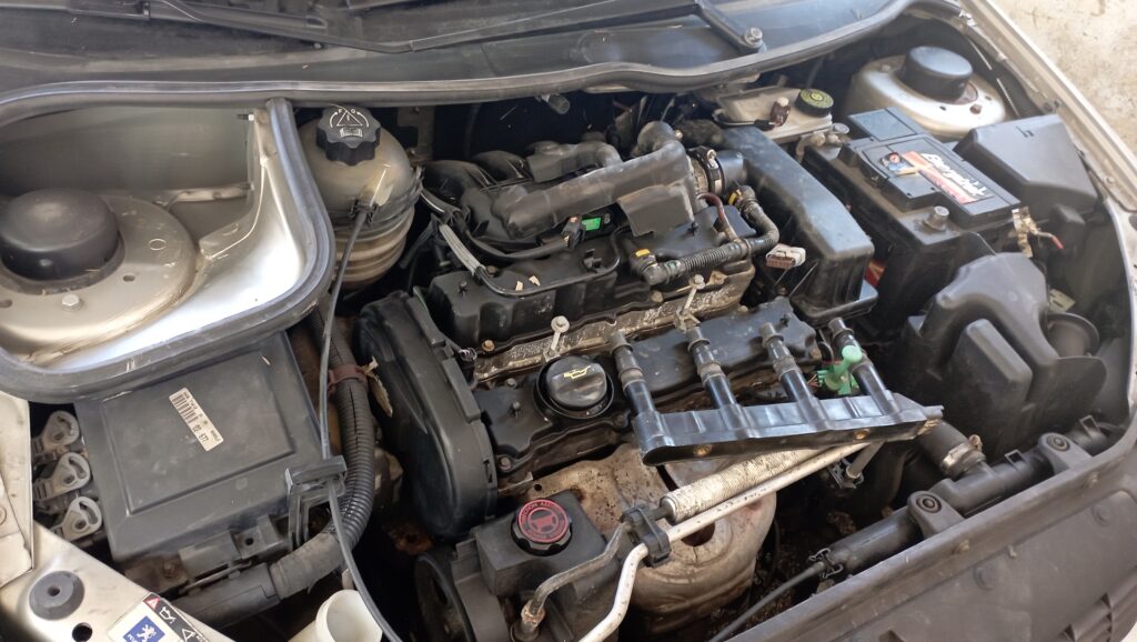 Poplavljen avto, peugeot 206